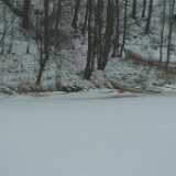 DSCF1759