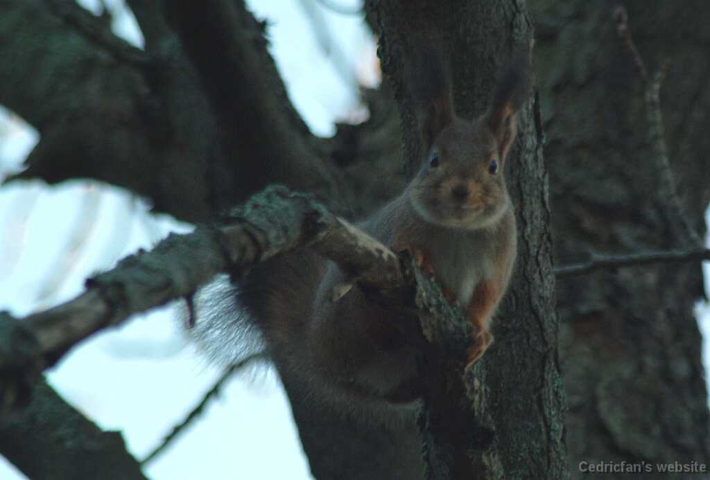 DSCF1571
