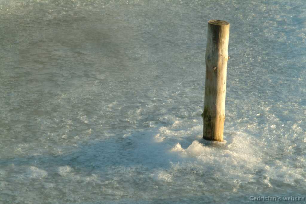 DSCF1578