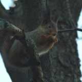 DSCF1568