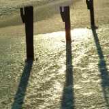 DSCF1580