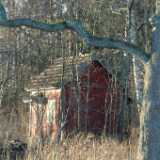 DSCF1588