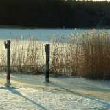 DSCF1589