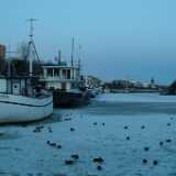DSCF1601