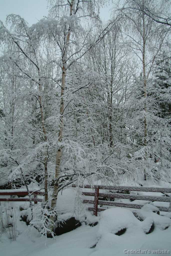 DSCF1263