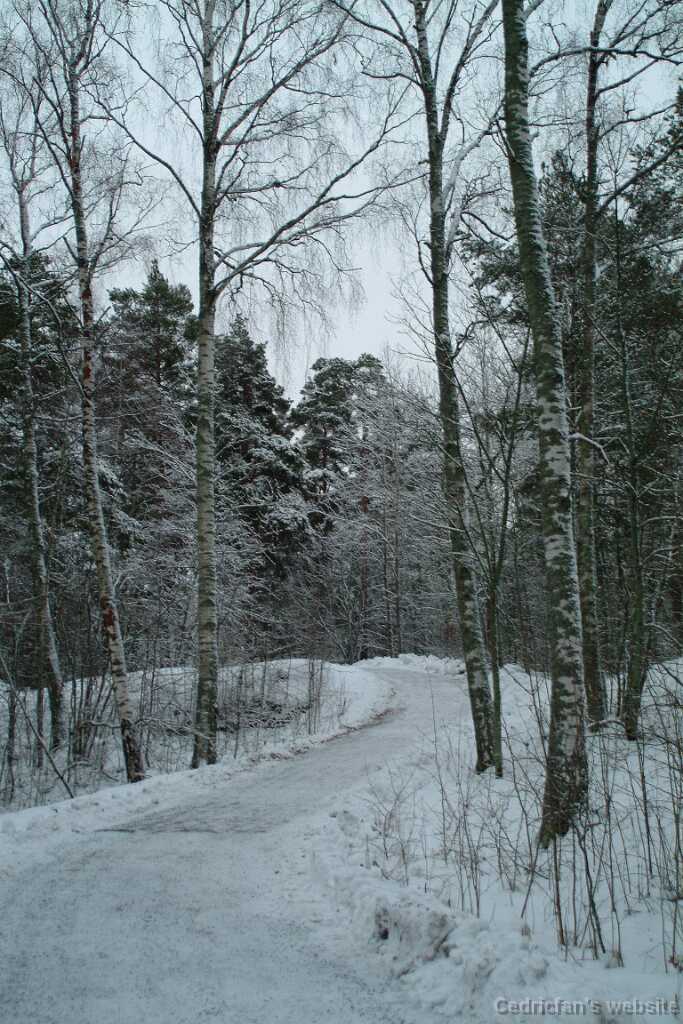 DSCF1270