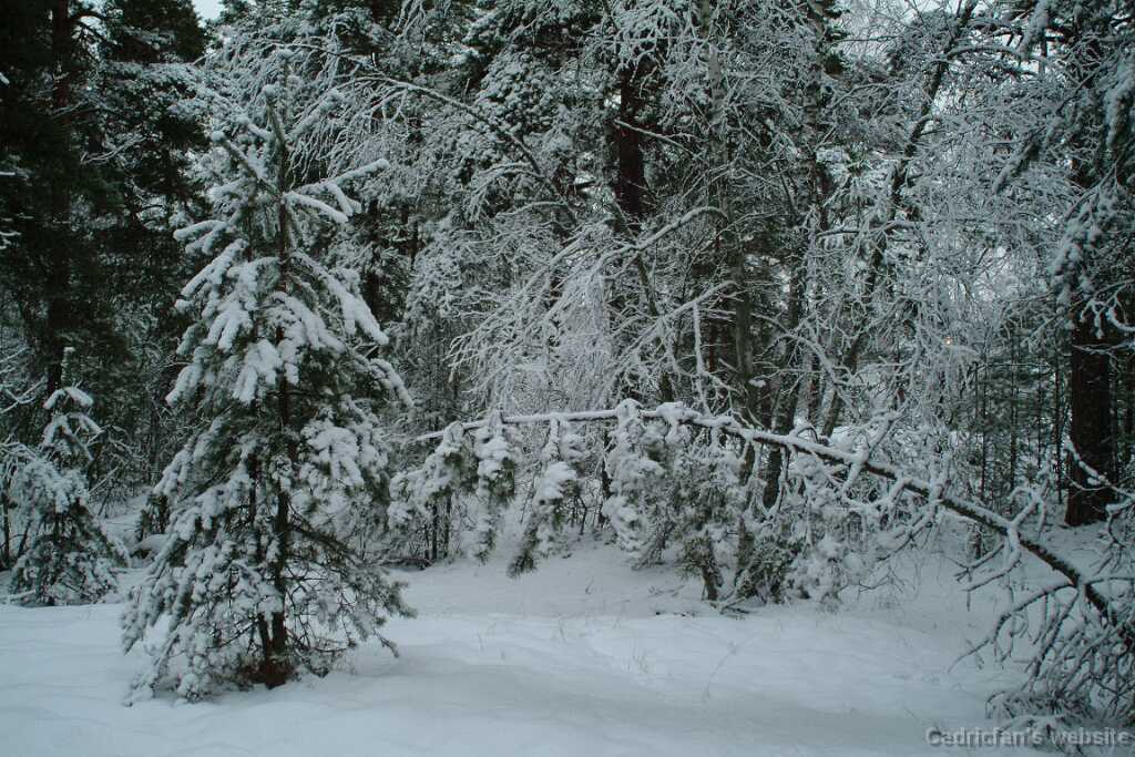 DSCF1272