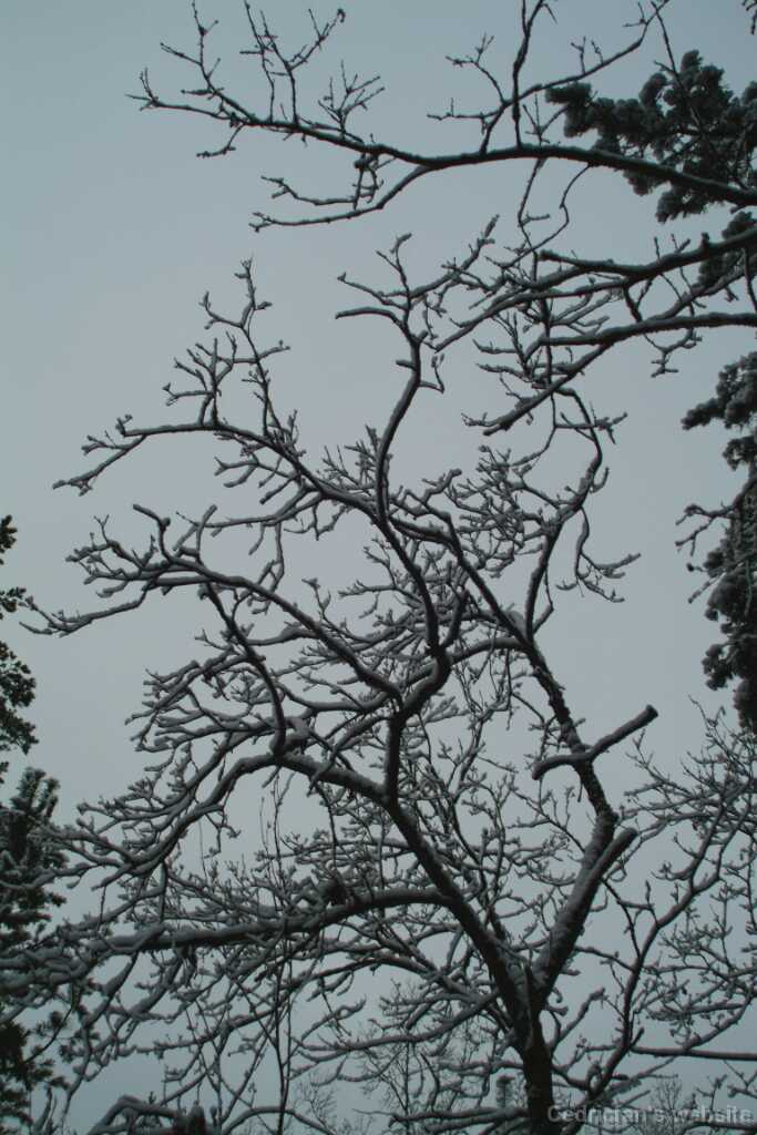 DSCF1277