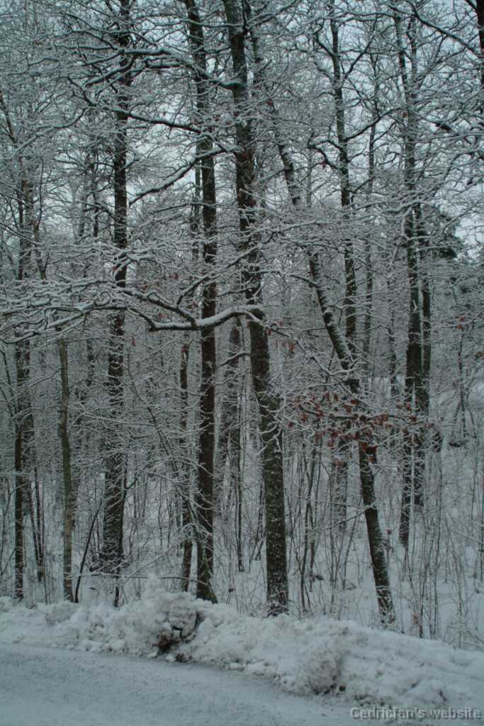 DSCF1279