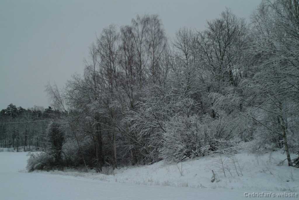 DSCF1281
