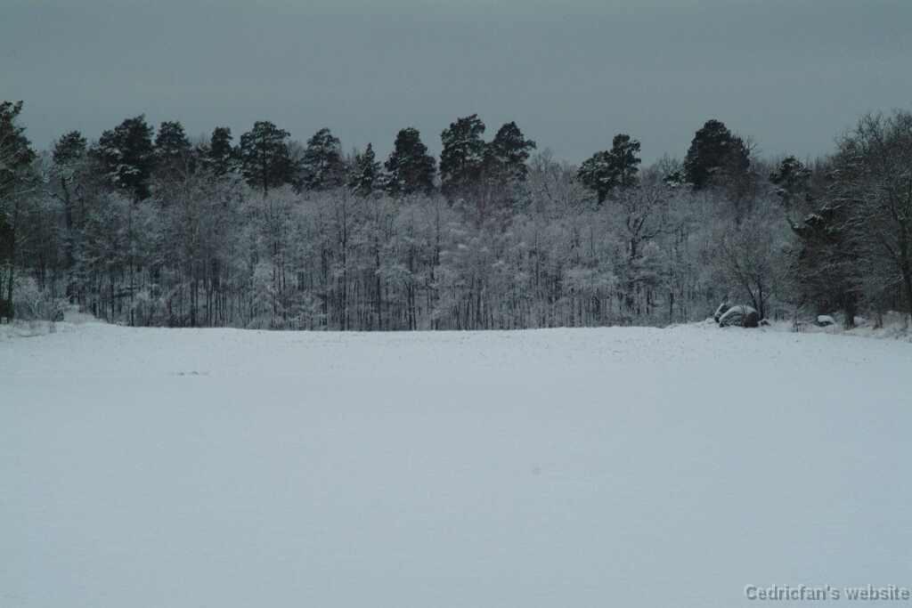 DSCF1284