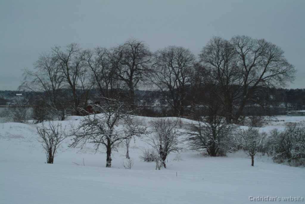 DSCF1298