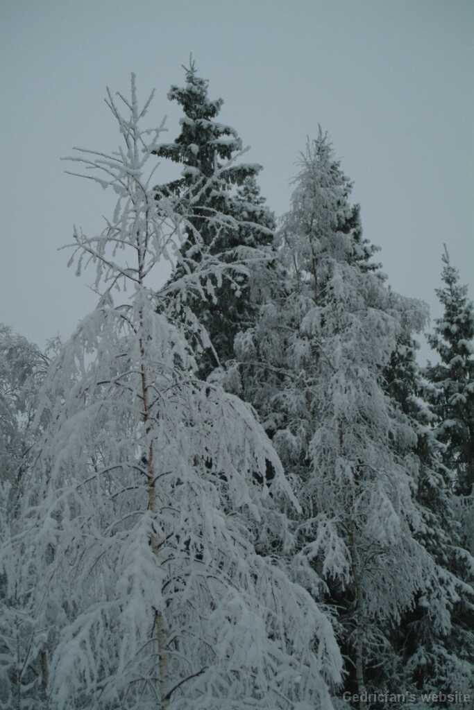 DSCF1332