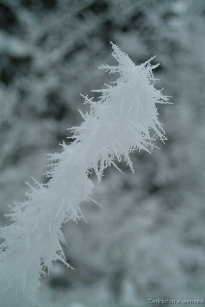 DSCF1333