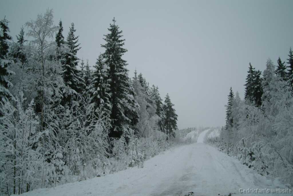 DSCF1335