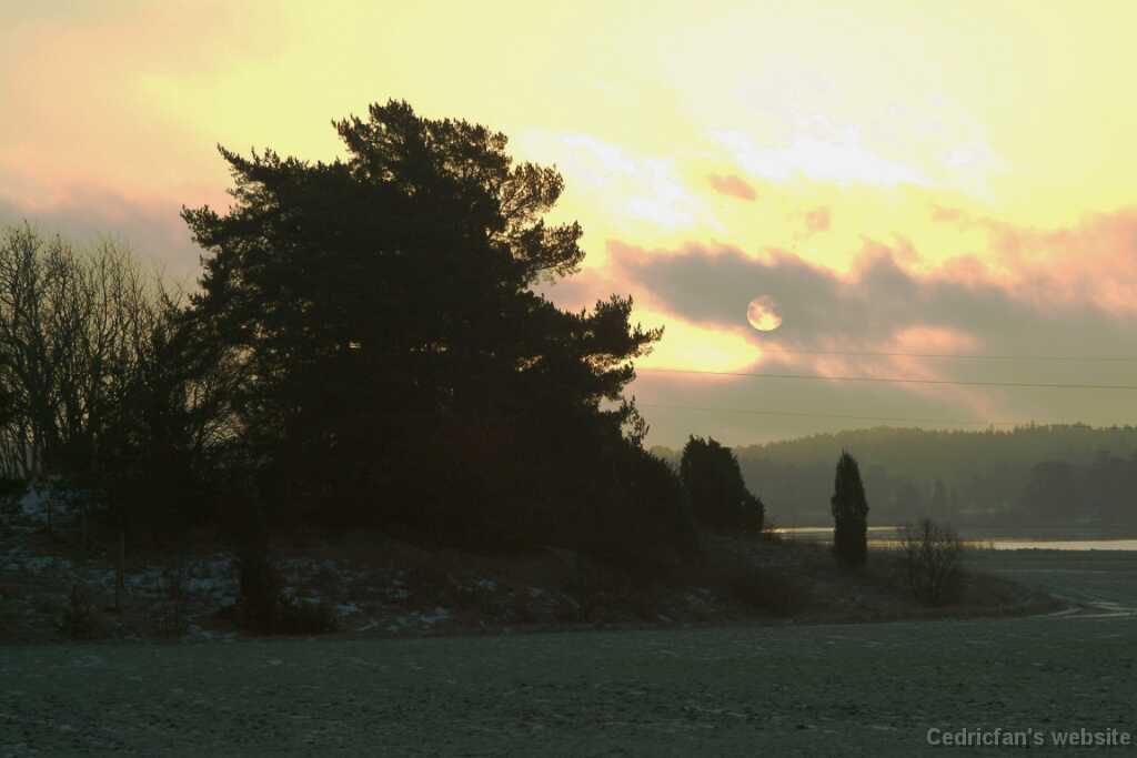 DSCF1377