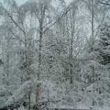 DSCF1263