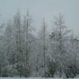 DSCF1265