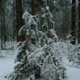 DSCF1271
