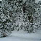 DSCF1272