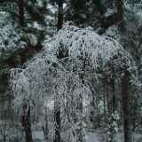 DSCF1274