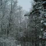 DSCF1275