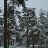 DSCF1276