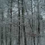 DSCF1279