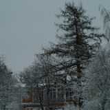 DSCF1283
