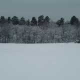 DSCF1284