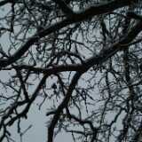 DSCF1288
