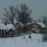 DSCF1295