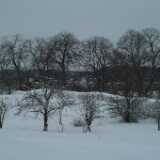 DSCF1298