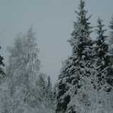 DSCF1331