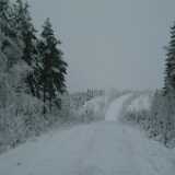 DSCF1336