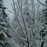 DSCF1338