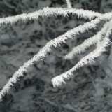 DSCF1341