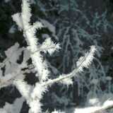 DSCF1342