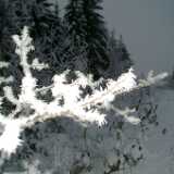 DSCF1344