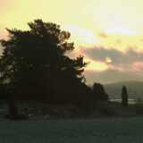 DSCF1377