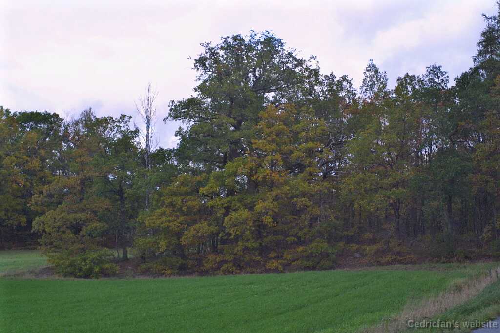 05