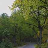Ruissalo