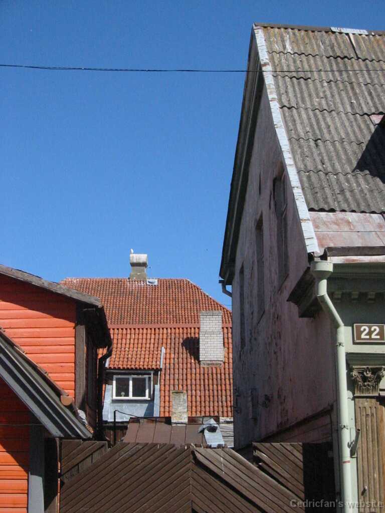 IMG_1151