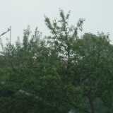 DSCF3166