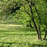 DSCF2546