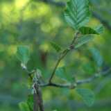 DSCF2547