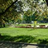 DSCF2571
