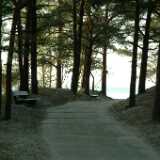 DSCF2580