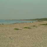 DSCF2585