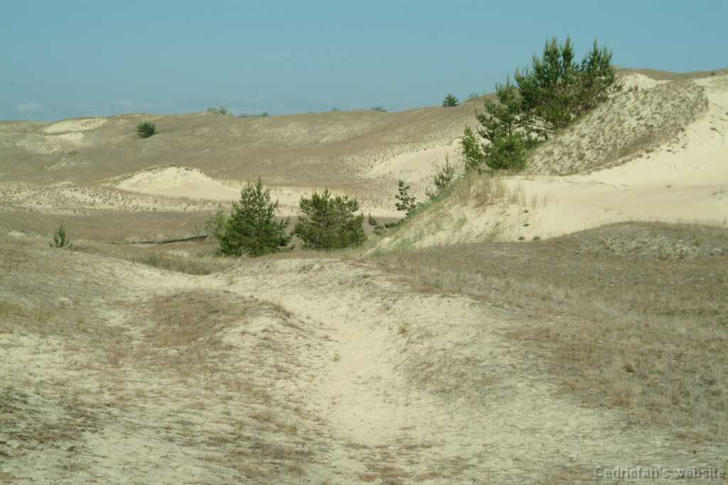 DSCF3061